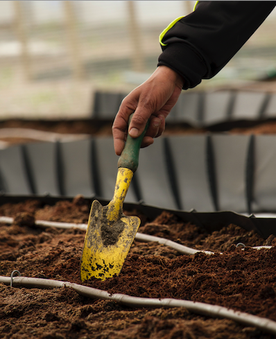 one hackathon team investigated how future weather would impact agriculture in Ghana. In particular they looked at how drought intensity and duration changed under future climate predictions. Photo by Anaya Katlego on Unsplash